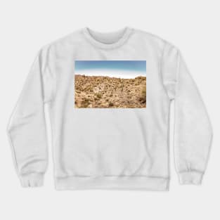 Apache Trail Scenic Drive View Crewneck Sweatshirt